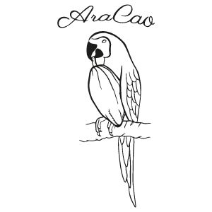 Aracao