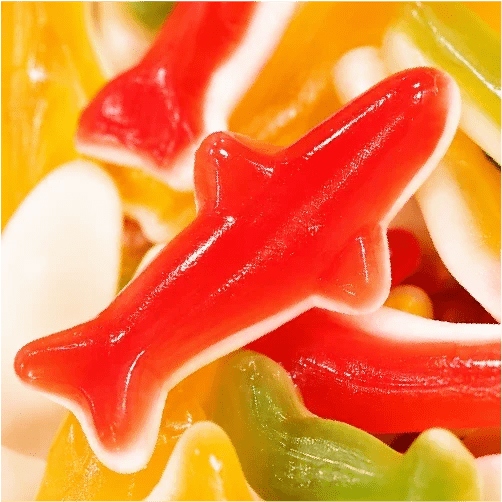 Bebeto Sharks Multicolor