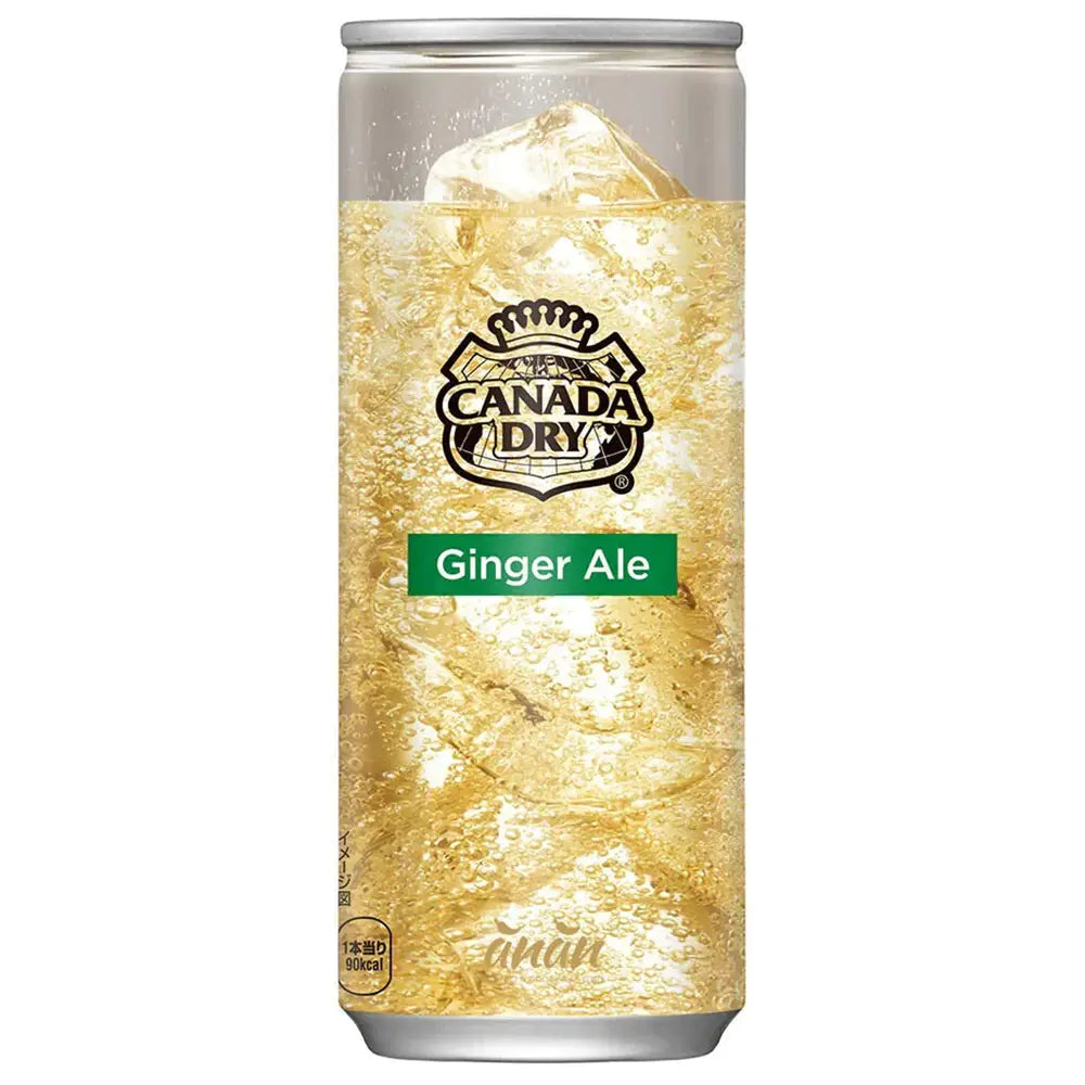 Canada Dry Ginger Ale - My American Shop France